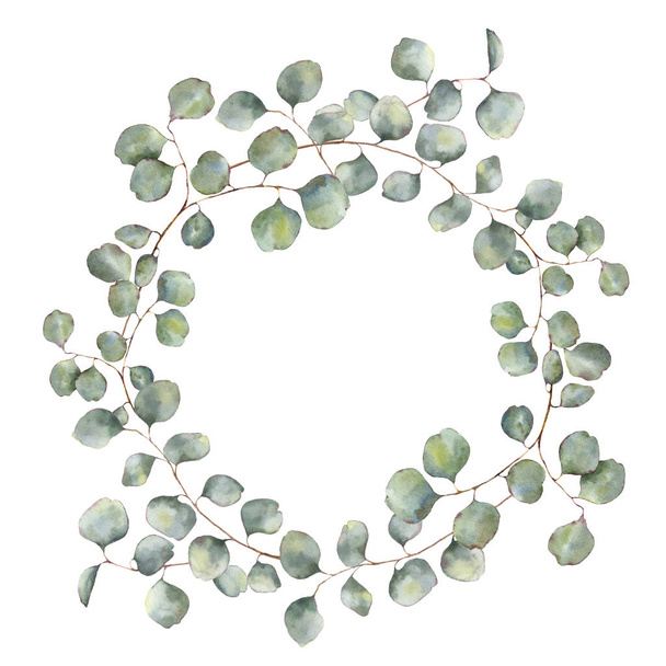 シルバー ダラー ユーカリの枝と水彩の花輪。手は、白い背景に分離された円形の葉と花のイラストを描いた。デザインまたは印刷用 - 写真・画像
