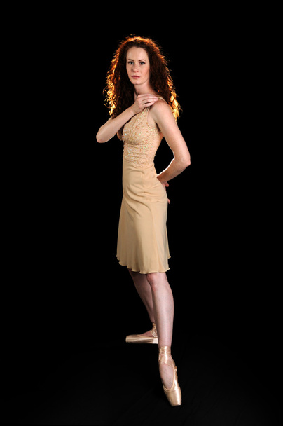Ballet Dancer Posing - Valokuva, kuva