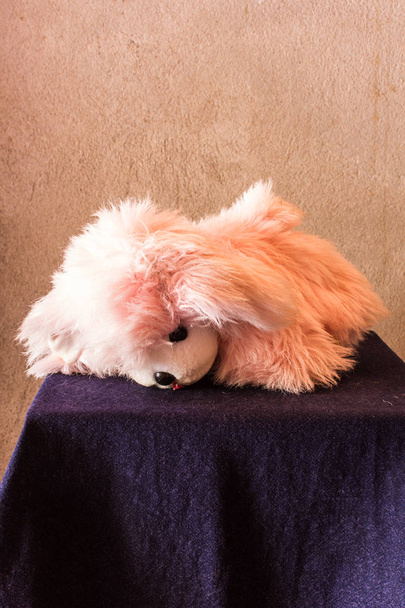 Still life Cute pink dog brown doll - Фото, изображение