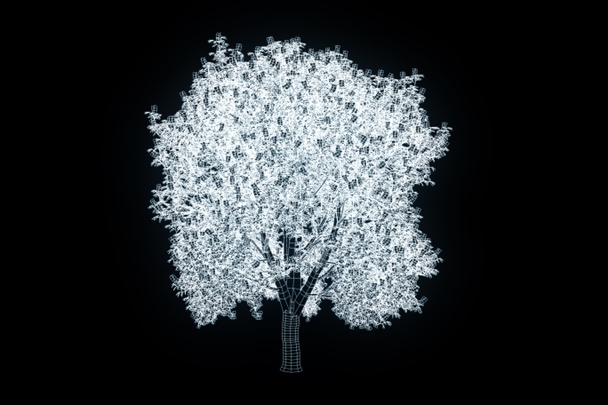 Ağaç bitki Tel Çerçeve hologramı tarzı. Güzel 3d render - Fotoğraf, Görsel