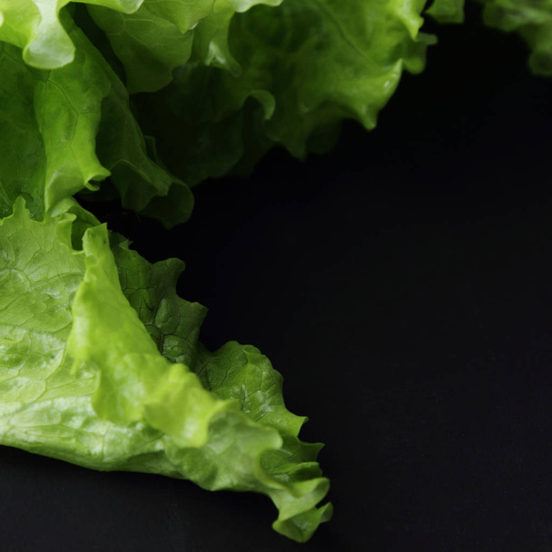 Studio image of green salad texture in selected focus. - Valokuva, kuva