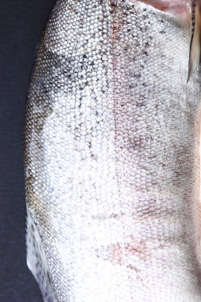 trout over black background - Фото, изображение