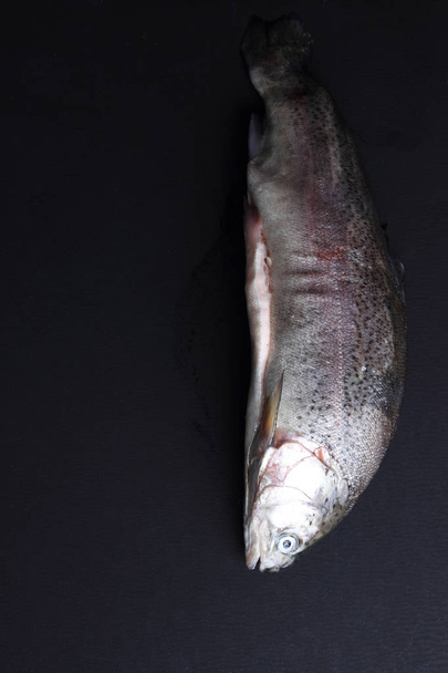 trout over black background - Фото, изображение