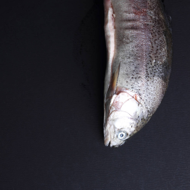 Studio image of trout over black background - Фото, изображение