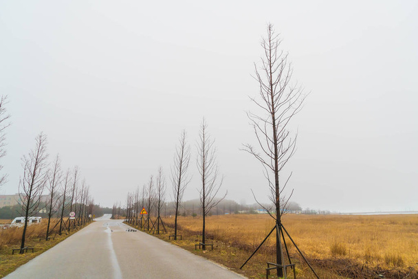 empty road under cloudy sky - Fotografie, Obrázek