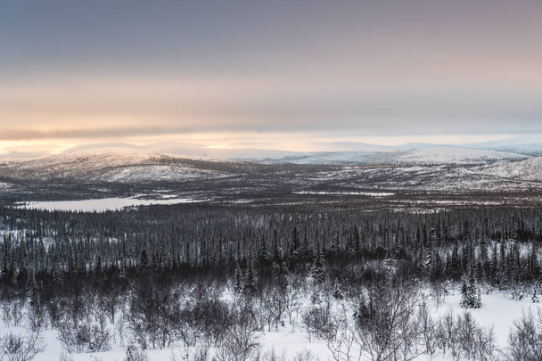 Winter landscape in Russian Lapland, Kola Peninsula - Foto, imagen