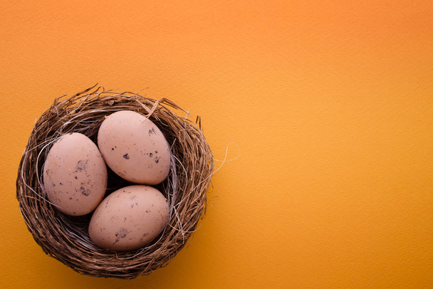 nest with three eggs - 写真・画像