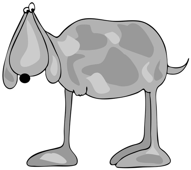 Kolmijalkainen koira
 - Valokuva, kuva