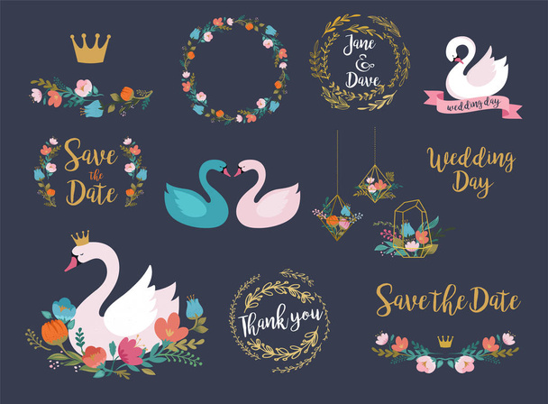 Casamento e aniversário conjunto com ilustrações cisne, letras, flores e elementos
 - Vetor, Imagem