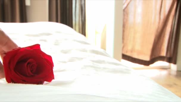 Rote Rose liegt auf weißem Leinenbett im Resort. - Filmmaterial, Video