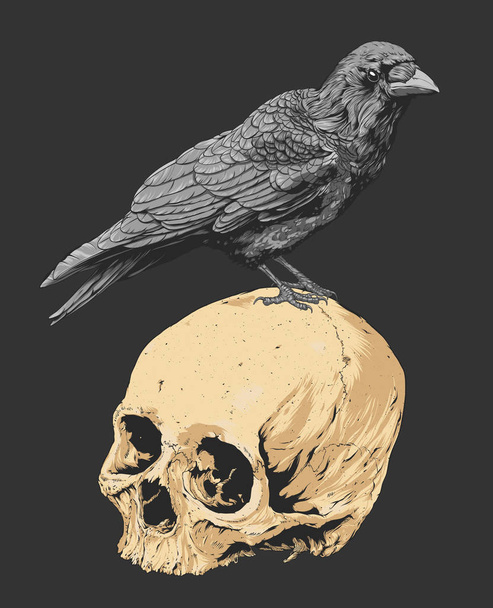 Skull With Crow, Isolated, Vector Illustration - Vector, Image
