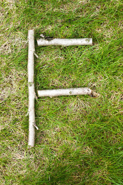Alphabet on green spring grass made of wooden sticks: letter F - Foto, Imagen