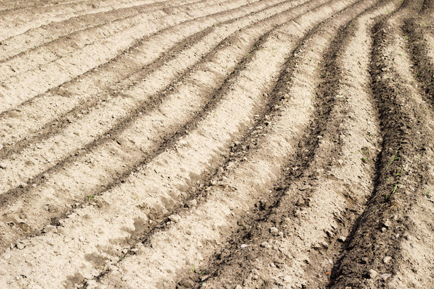 Agricultural ploughed field and soil in spring perspective view  - Foto, Imagem