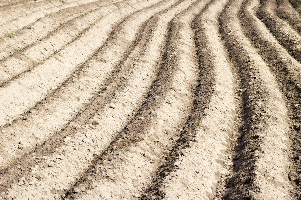 Agricultural ploughed field and soil in spring perspective view  - Fotó, kép