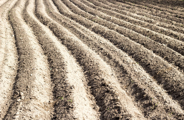 Agricultural ploughed field and soil in spring perspective view  - Fotó, kép