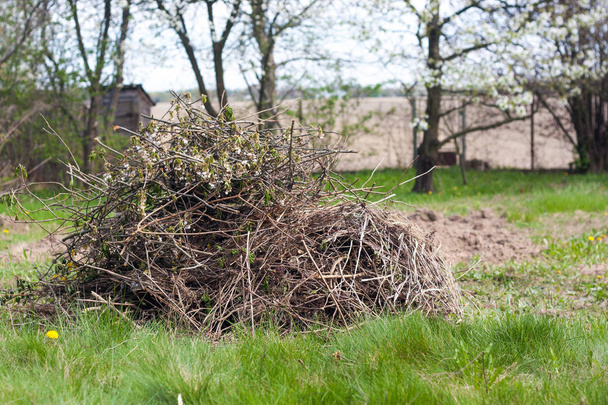 Heap of a tree sticks in country. Spring works outside - Foto, Bild