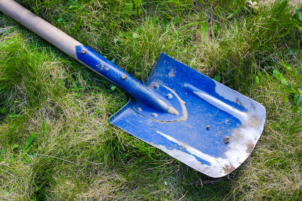 Blue shovel on a green grass close up, spring works - Foto, immagini
