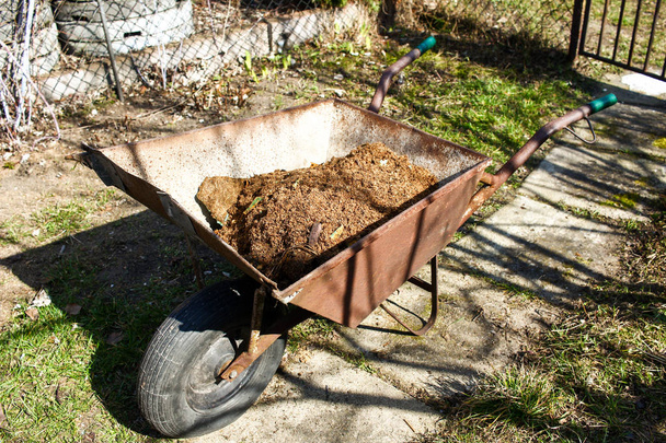 Old wheelbarrow with wooden swarf, wooden dust - Fotografie, Obrázek