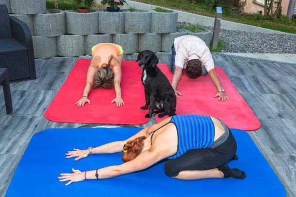 stretching in yoga lesson - Foto, immagini