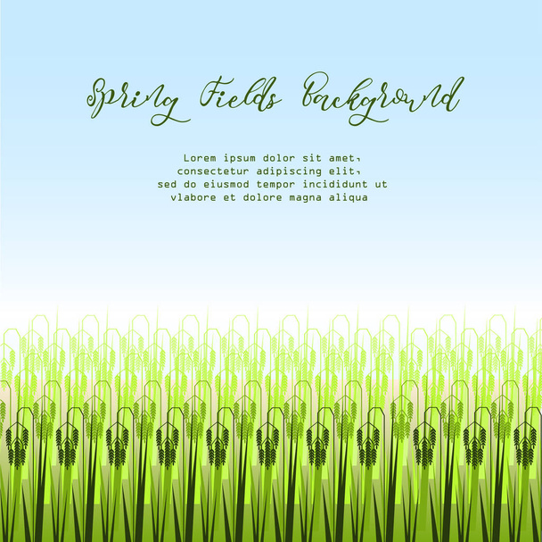 Vektorillustration mit stilisiertem grünen Reisfeld. - Vektor, Bild