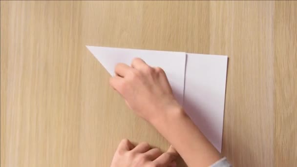 Il bambino ha fatto cani museruola di carta, modalità veloce, vista dall'alto
 - Filmati, video