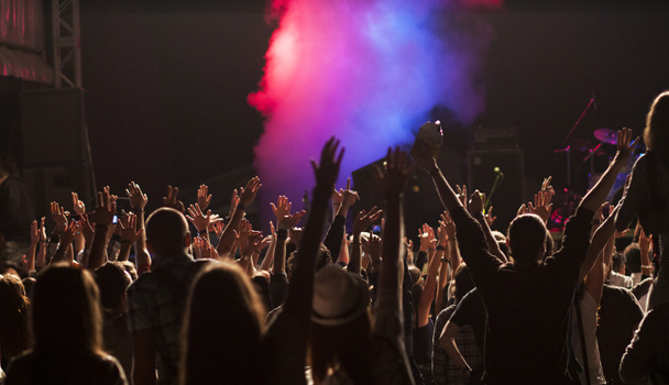 folla al concerto - festival di musica estiva - Foto, immagini