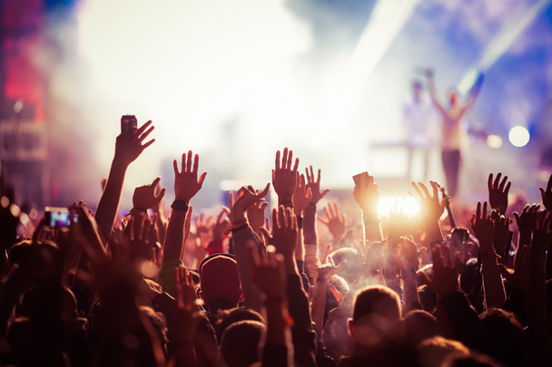 menigte op concert - zomer muziekfestival - Foto, afbeelding