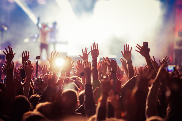 multidão no concerto - festival de música de verão - Foto, Imagem