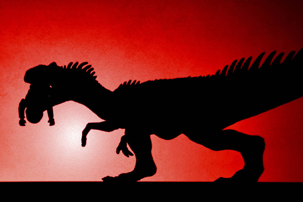 Roter Fleck Licht Schatten von Allosaurus beißt einen Körper an der Wand kein Logo oder Warenzeichen - Foto, Bild