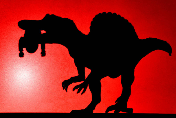 κόκκινη κηλίδα φως σκιά προβολής του ένα spinosaurus με ένα νεκρό σώμα στο στόμα του, κανένα λογότυπο ή εμπορικό σήμα - Φωτογραφία, εικόνα