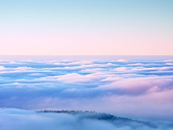 Вершины гор над сливочным туманом, зимние пейзажи
.  - Фото, изображение