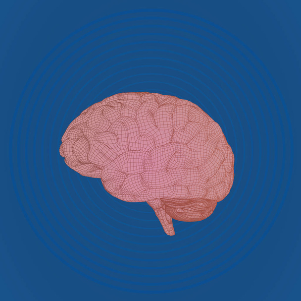 Wireframe brain on blue ripple wave BG - Vector, Image