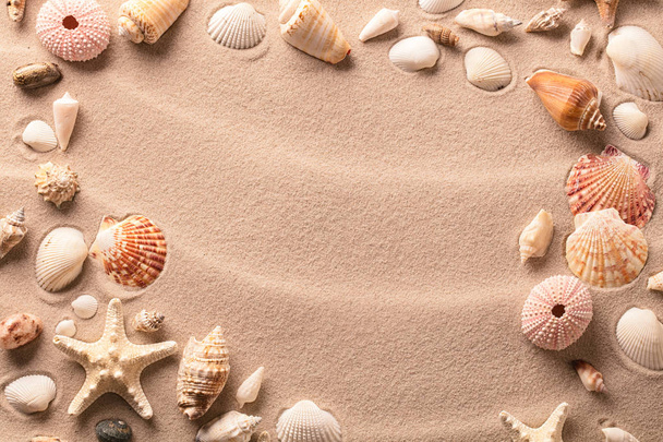 Summer sand beach with shells - Zdjęcie, obraz