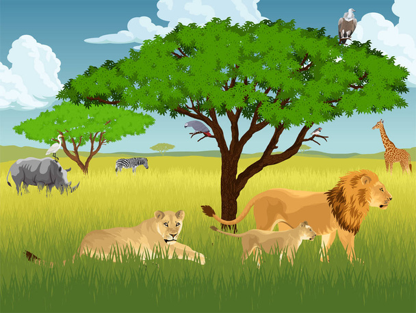 векторна африканська савана з левами, носорогами, джемф, вульт, зебра та чапля
 - Вектор, зображення