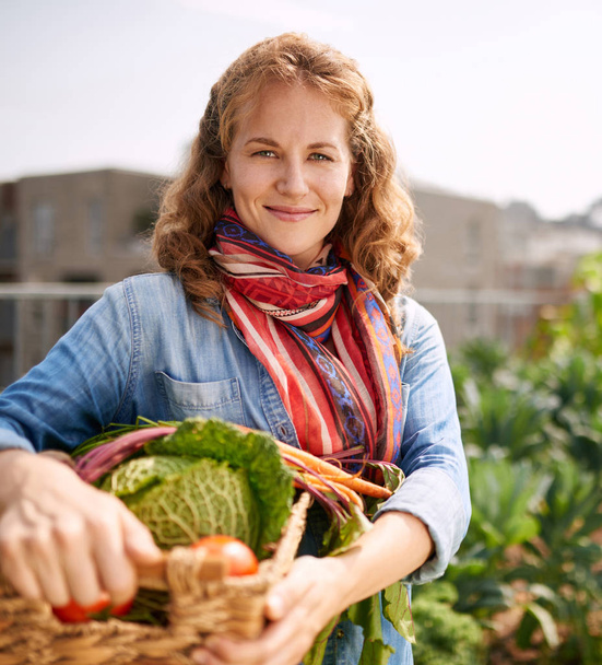 Friendly woman harvesting fresh vegetables from the rooftop greenhouse garden - Fotografie, Obrázek