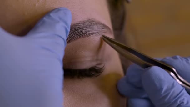 Stylist does beautiful eyebrows to the young beautiful woman. Beauty shop. Close up. - Filmmaterial, Video