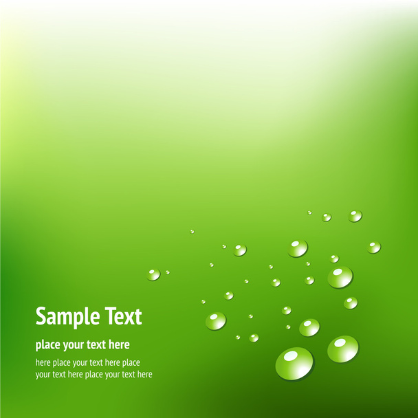 Green background with drops - Vector, imagen