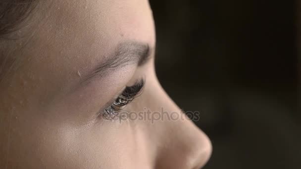 Stylist does beautiful eyebrows to the young beautiful woman. Beauty shop. Brush from a face. Close up. - Filmagem, Vídeo