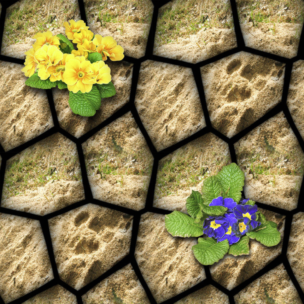 Φυσικά χωρίς ραφή πρότυπο καφέ πέτρες με πηλό και ανθισμένα λουλούδια - Φωτογραφία, εικόνα