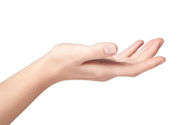 Женская рука
 - Фото, изображение