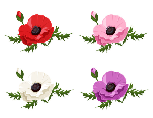 Set of four poppies of various colors. Vector illustration. - Διάνυσμα, εικόνα