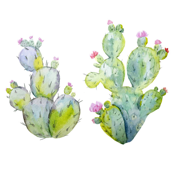 Watercolor cactus vector set - Вектор,изображение