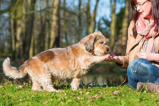 nainen antaa koiralle hoitoon ja saa tassu
 - Valokuva, kuva