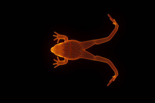Frog in Hologram Wireframe Style. Nice 3D Rendering - Photo, Image
