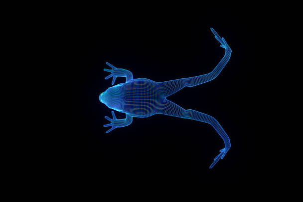 Frog in Hologram Wireframe Style. Nice 3D Rendering - Photo, Image