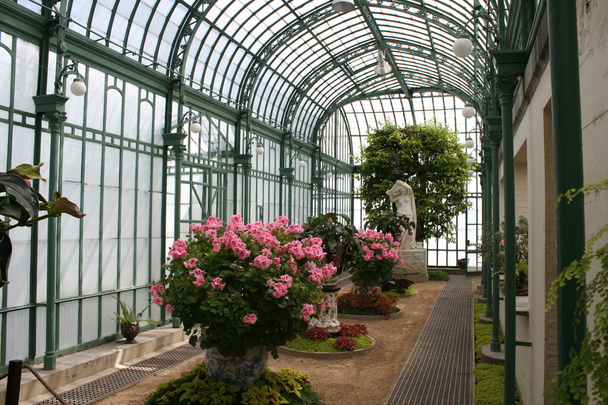 Laeken The Royal Greenhouses - Photo, Image