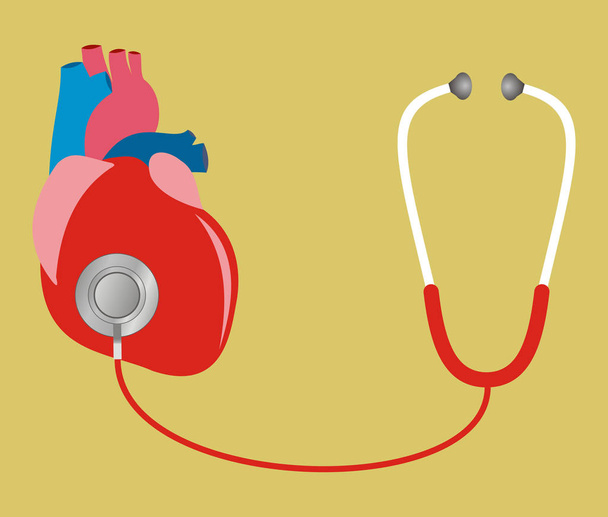 Srdce s stetoskop. Testování, kontrola vnitřních orgánů. Zdravotní péče  - Vektor, obrázek