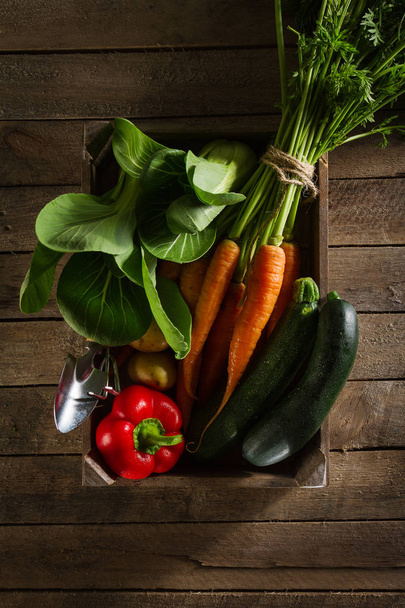 Τροφίμων φυτικής πολύχρωμο φόντο. Νόστιμα φρέσκα λαχανικά - Φωτογραφία, εικόνα