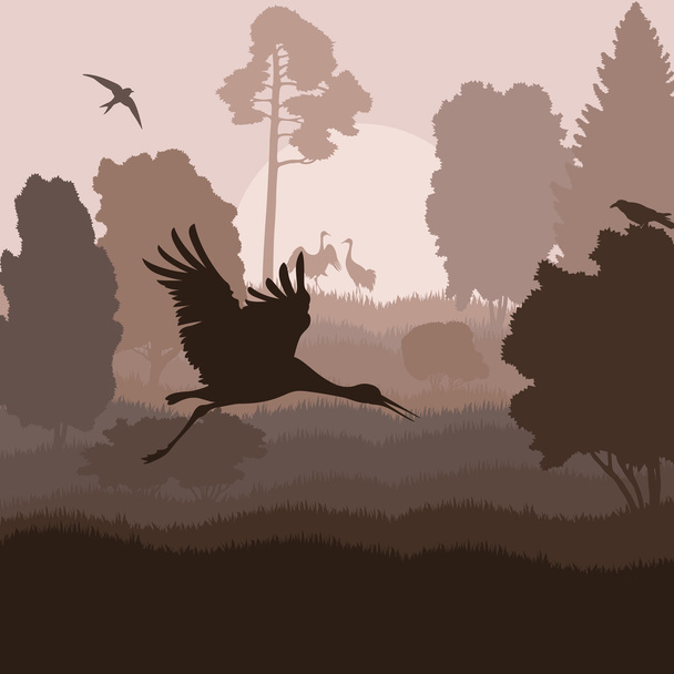 vogel kraan landschap achtergrond vector - Vector, afbeelding