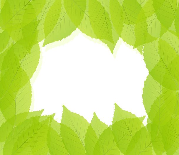 yeşil yaprakları plan vektör - Vektör, Görsel